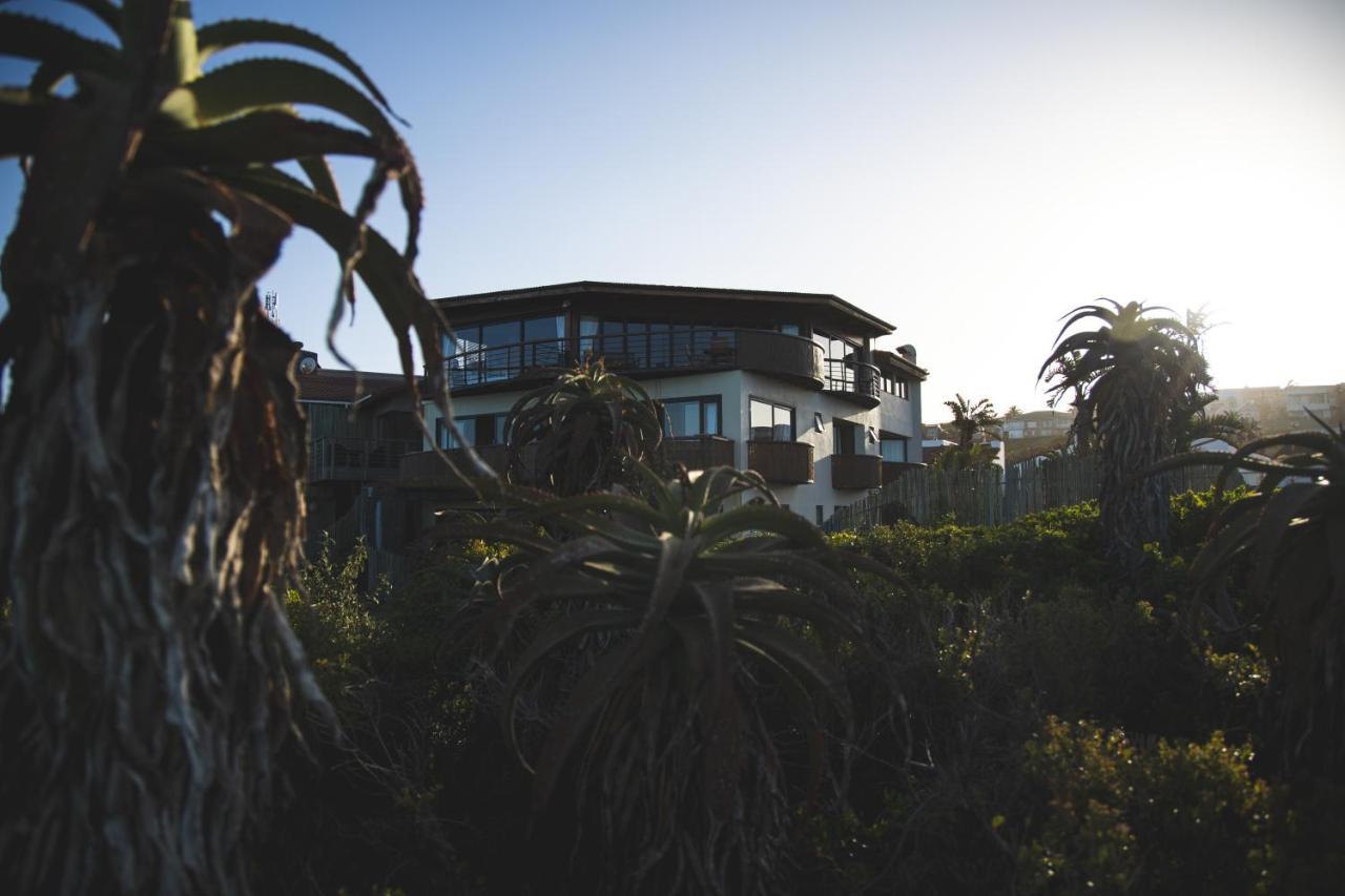 African Perfection 1 Jeffreys Bay Exteriör bild